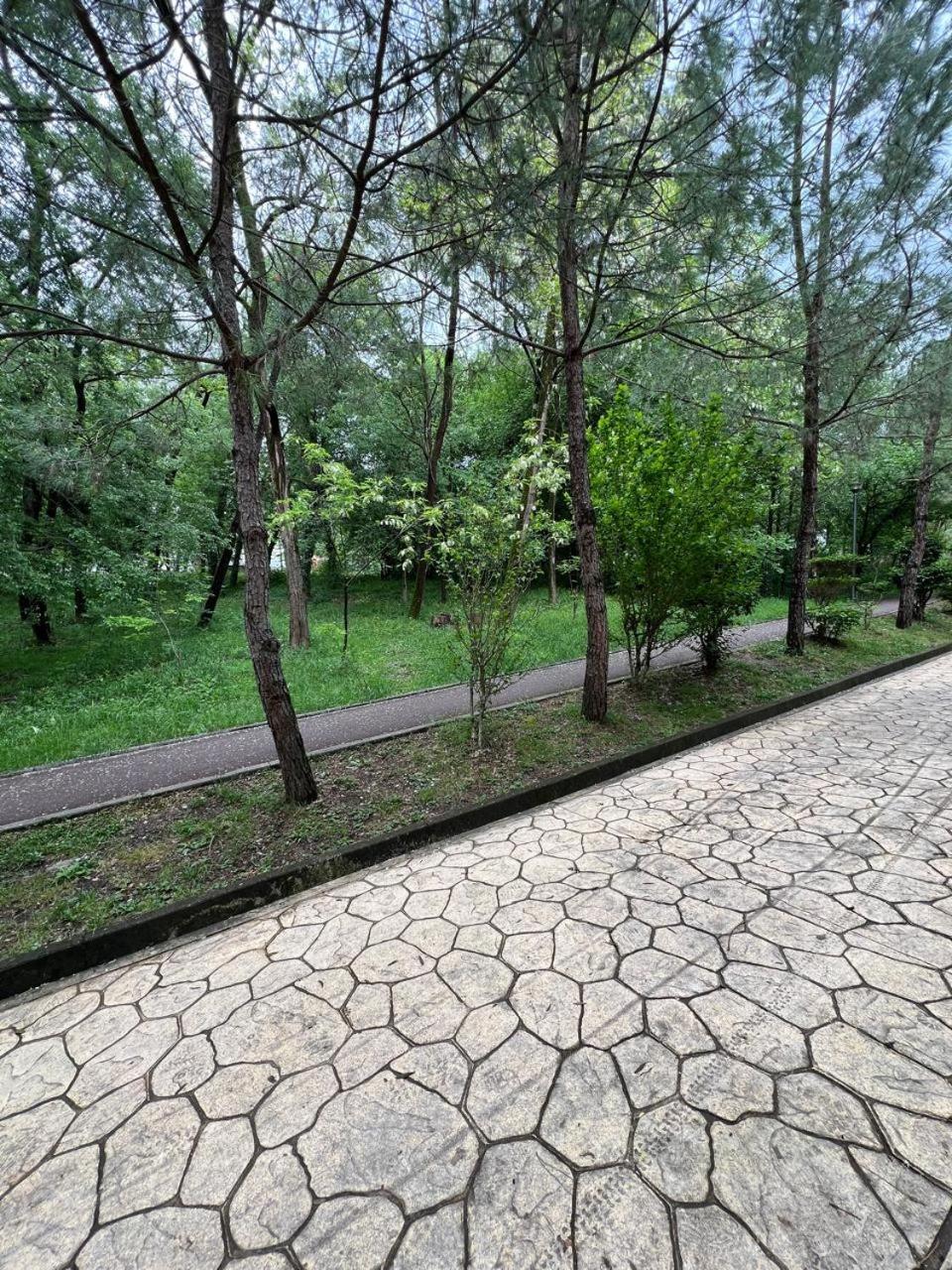 Cozy Flat Near Air Albania Stadium 1 Tirana Exterior foto